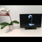 Contrôlez vos appareils avec des plantes multi-touch