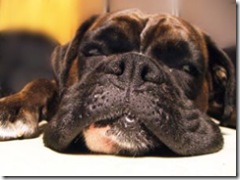 594421_how_tired_can_you_get